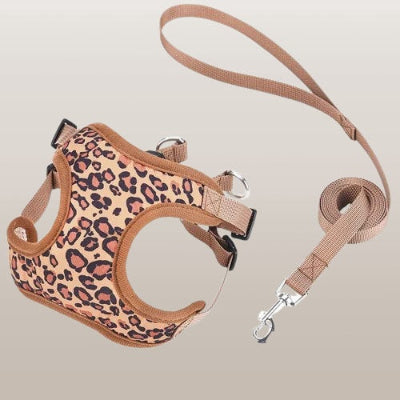 harnais-petit-chien-leopard-beige-laisse-assortie-ensemble-complet-premium