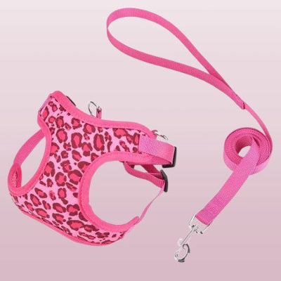 harnais petit chien leopard rose fuchsia laisse coordonnee ensemble fashion