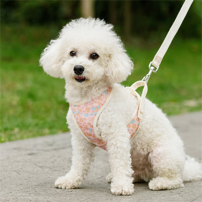 harnais petit chien rose bichon frise blanc doux confort elegant