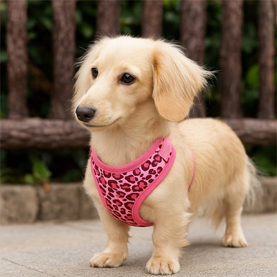 harnais petit chien rose leopard teckel creme ajustable petit moyen