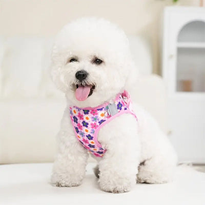 harnais petit chien rose violet floral doux mignon