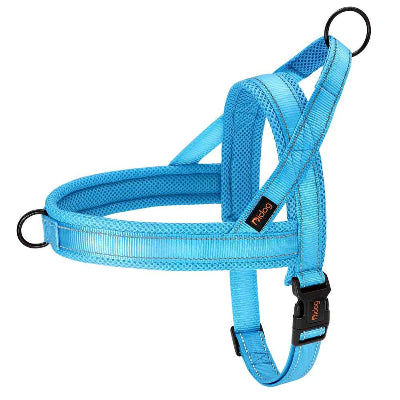 harnais pour chien bleu turquoise respirant reglable confort securite