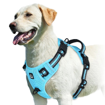 harnais pour chien confort et controle bleu reflechissant ajustable premium
