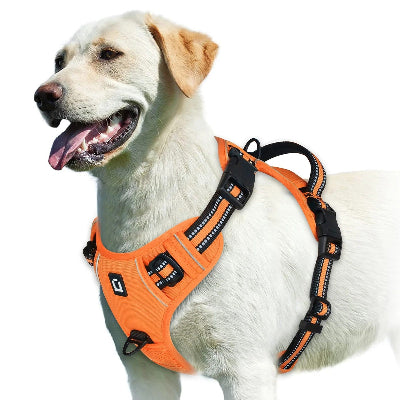 harnais pour chien confort et controle orange ajustable labrador