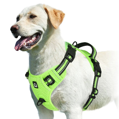 harnais pour chien confort et controle vert labrador securite qualite