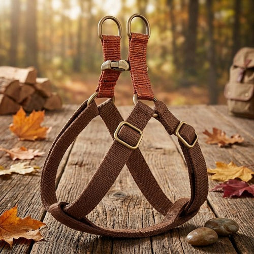 harnais pour chien marron sangles orange table bois forêt automne