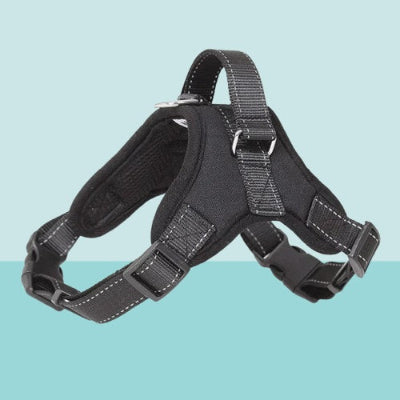 harnais pour chien noir anti traction ergonomique