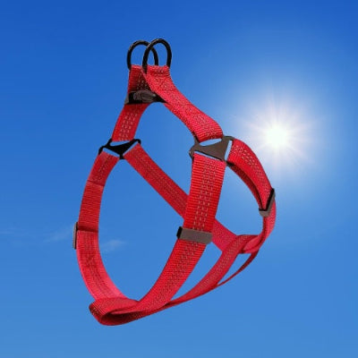 harnais pour chien rouge ajustable resistant qualite premium durable
