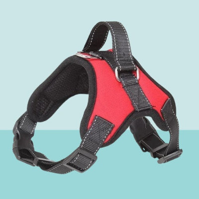 harnais pour chien rouge anti traction ergonomique