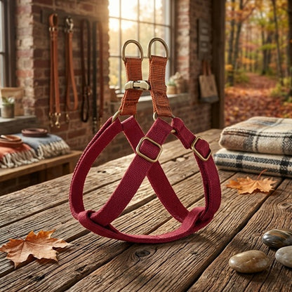 harnais pour chien rouge boucles métal table bois feuilles automne