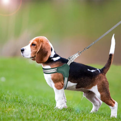 harnais pour chien vert beagle laisse promenade jardin anti traction-confort