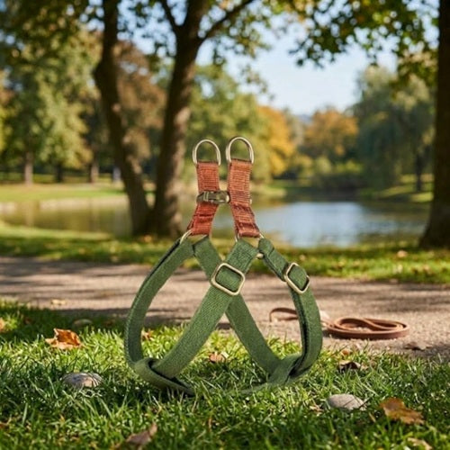 harnais pour chien vert olive ajustable sangles orange parc extérieur