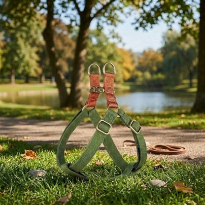 harnais pour chien vert olive ajustable sangles orange parc extérieur