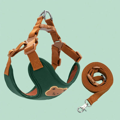 harnais pour petit chien ensemble vert laisse assortie premium