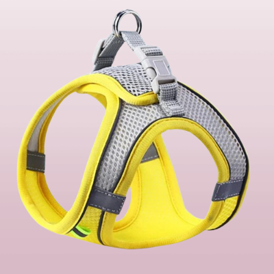 harnais pour petit chien jaune gris visibilite nuit