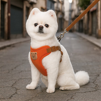 harnais pour petit chien orange spitz ville urbain moderne