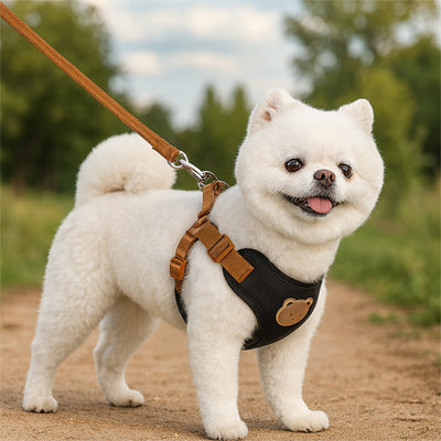 harnais pour petit chien spitz blanc promenade exterieur confor