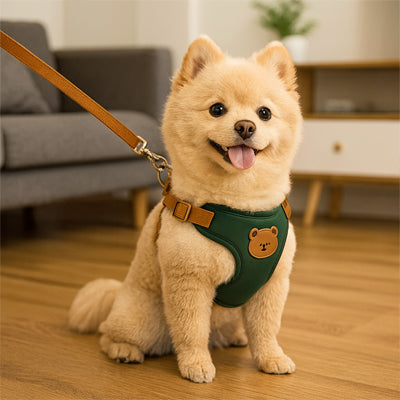 harnais pour petit chien vert spitz salon adorable