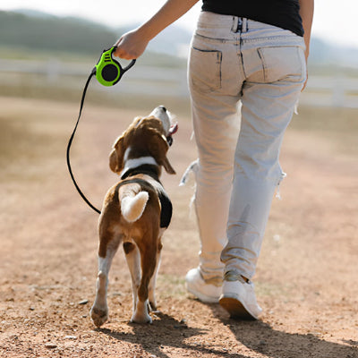 homme au-pantalon blanc se promenant sur une route irreguliere avec son chien attache a une laisse pour chien enrouleur verte
