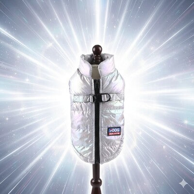 impermeable chien argent reflechissant hiver qualite premium design moderne