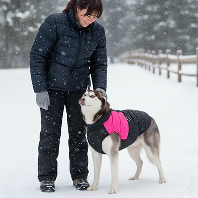 impermeable pour chien hiver neige husky rose noir chaud protection promenade