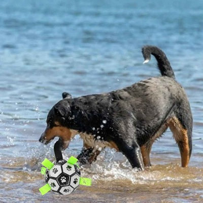 jouet chien ballon football grand chien plage eau éclaboussures action