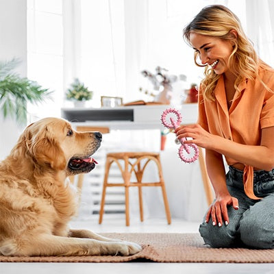 jouet chien indestructible femme golden retriever intérieur anneau rose picots