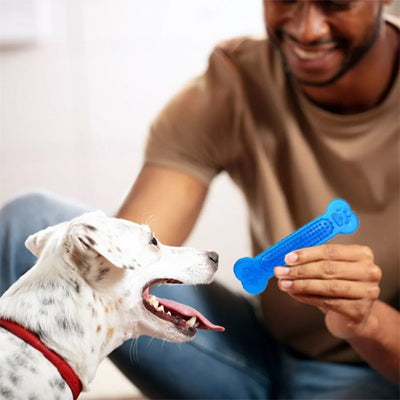 jouet indestructible pour chien os bleu dalmatien intérieur homme
