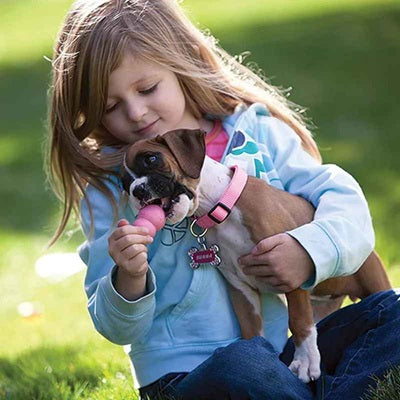 jouet kong chien chiot boxer enfant rose collier herbe jeu