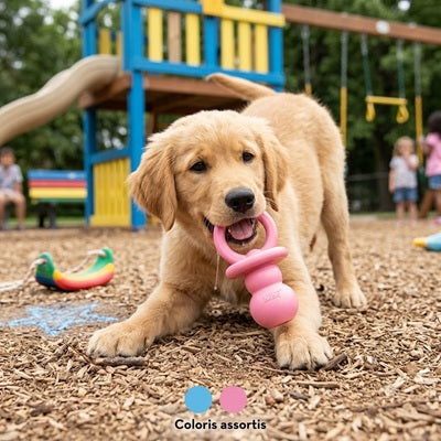 jouet kong pour chien chiot golden retriever mord rose aire de jeux