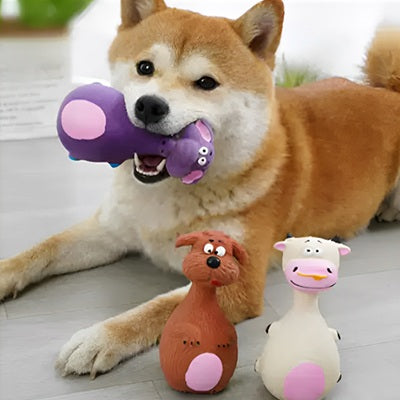 jouet pour chien shiba inu collection trois figurines latex sol