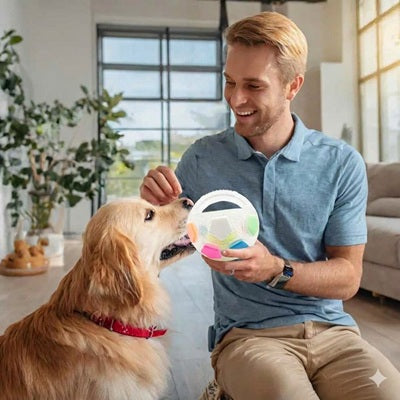 jouet pour chiens balle golden retriever maître intérieur récompense éducation