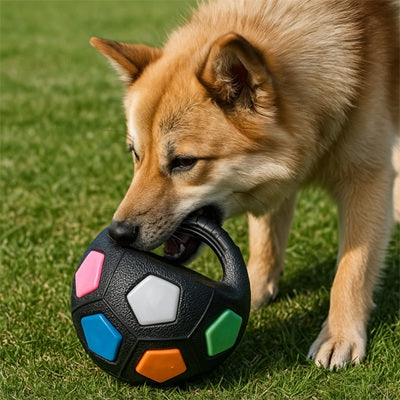 jouet pour chiens balle noire shiba inu mordant herbe résistant