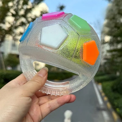 jouet pour chiens balle transparente irisée main taille extérieur