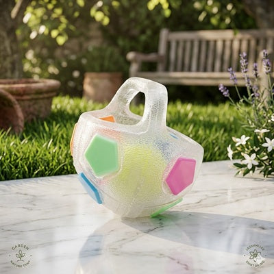 jouet pour chiens balle transparente multicolore jardin table marbre