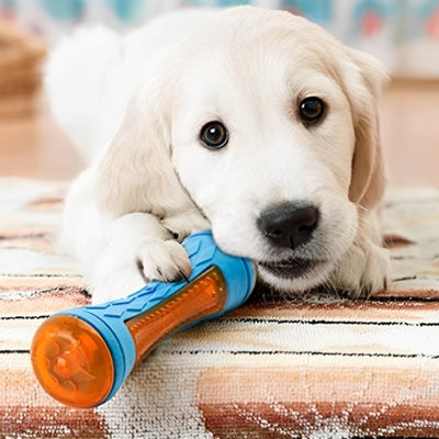 jouets pour chien chiot golden retriever os mordant TPR intérieur