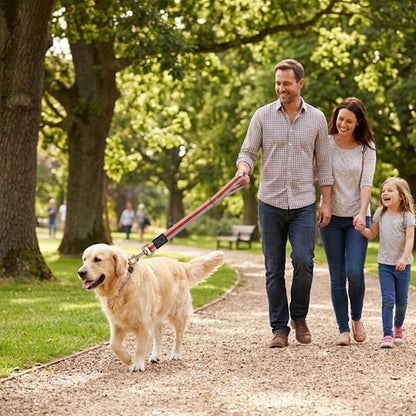 La laisse du chien promenade famille parc golden retriever enfant