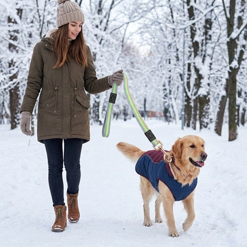 La laisse du chien réfléchissante hiver neige golden retriever femme