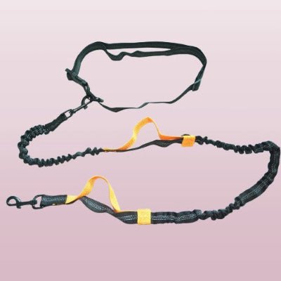 laisse canicross noire avec une ceinture reglable poignees oranges et cordon amortisseur pour cofort du chien