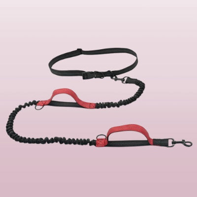laisse canicross noire avec une ceinture reglable poignees rouge et cordon amortisseur pour cofort du chien
