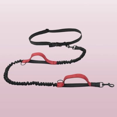 laisse canicross noire avec une ceinture reglable poignees rouges et cordon amortisseur pour cofort du chien