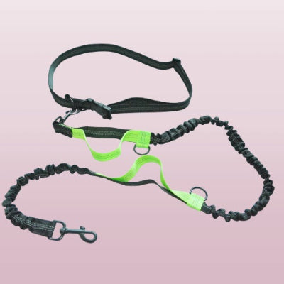 laisse canicross noire avec une ceinture reglable poignees verte et cordon amortisseur pour cofort du chien