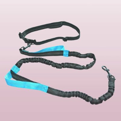 laisse canicross noire avec une ceinture reglable poignees bleue et cordon amortisseur pour cofort du chien
