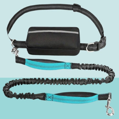 laisse chien main libre avec poingnee bleue mousqueton metalique ceinture reglable et pochette pratique pour accessoires