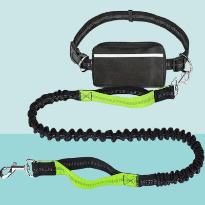 laisse chien main libre avec poingnee verte mousqueton metalique ceinture reglable et pochette pratique pour accessoires