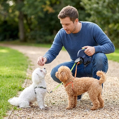 laisse double chien rétractable homme friandise deux chiens parc