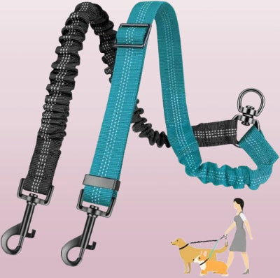 laisse double pour chien bleue et noire avec mousquetons