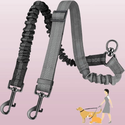 laisse double pour chien grise et noire avec mousquetons metaliques
