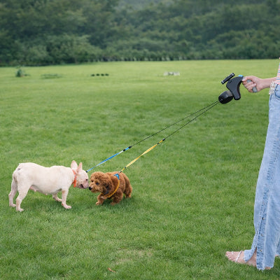 laisse double pour chien retractable parc exterieur petit chien confort securite
