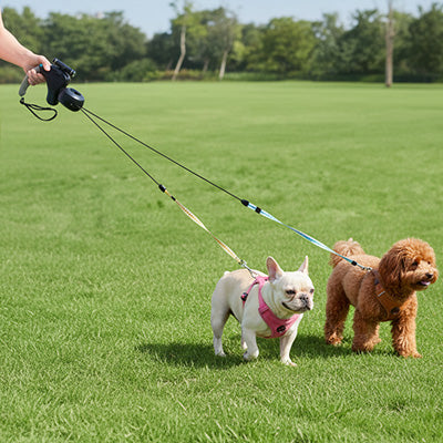 laisse double pour chien retractable parc petit chien confort securite
